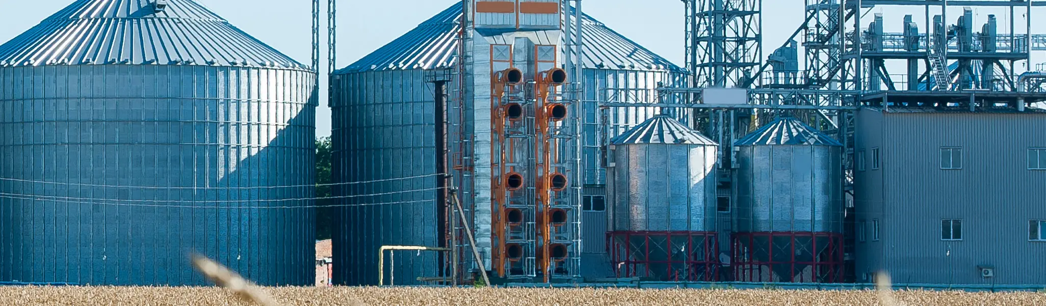 Planta de silos metálicos de almacenamiento de grano junto a un campo de trigo